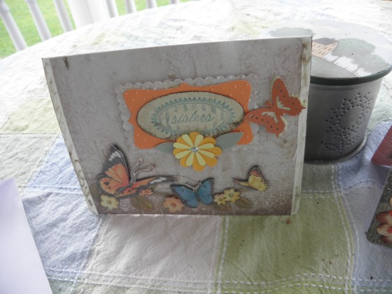 A sister's love is a special love shared without hesitation.